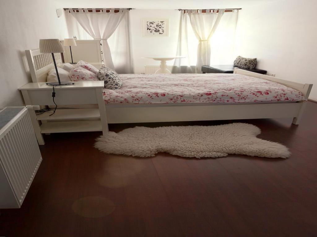 Casa Ferica Βίλα Azuga Εξωτερικό φωτογραφία
