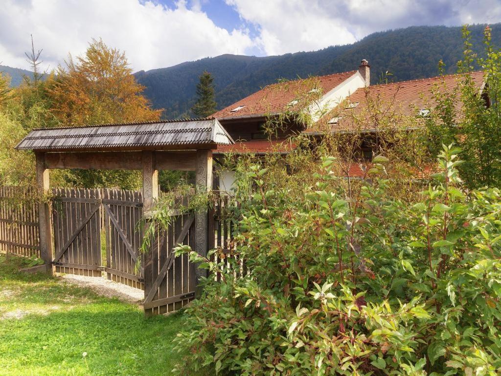 Casa Ferica Βίλα Azuga Εξωτερικό φωτογραφία